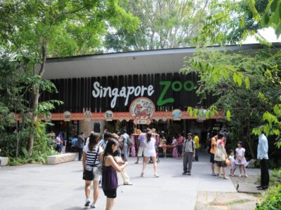 Singapore Zoo