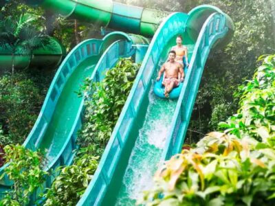 Adventure Cove Waterpark