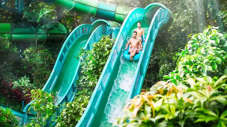 Adventure Cove Waterpark