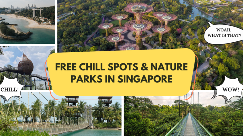 free attractions in singapore, nature parks in singapore, chill out places in singapore, best nature parks in singapore, list of nature parks in singapore, places to chill in singapore, chill in singapore, free things to do in singapore, things to do in singapore for free