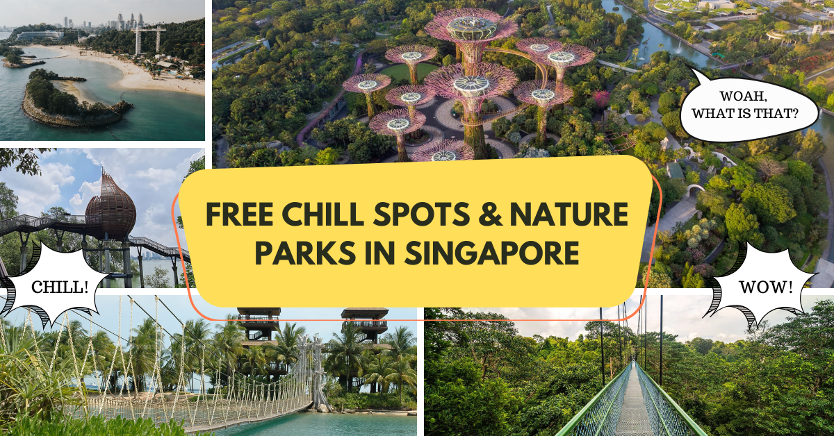 free attractions in singapore, nature parks in singapore, chill out places in singapore, best nature parks in singapore, list of nature parks in singapore, places to chill in singapore, chill in singapore, free things to do in singapore, things to do in singapore for free