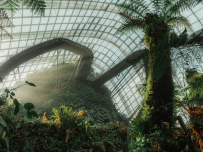 Flower Dome & Cloud Forest, Gardens by the Bay