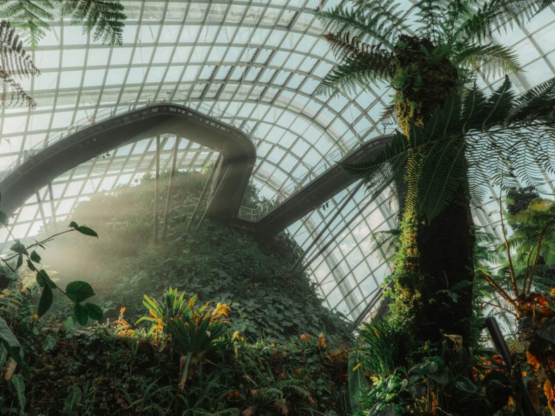 Flower Dome & Cloud Forest, Gardens by the Bay