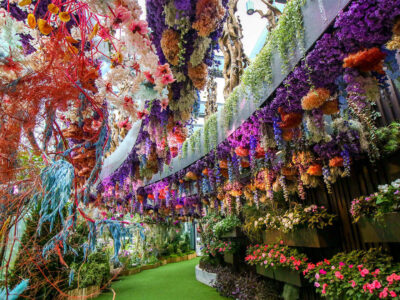 Floral Fantasy Singapore