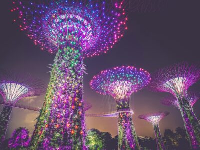 Garden Rhapsody Light Show