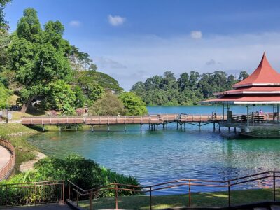 MacRitchie Reservoir