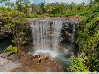 Mandai Wildlife EAST & Mandai Wildlife WEST