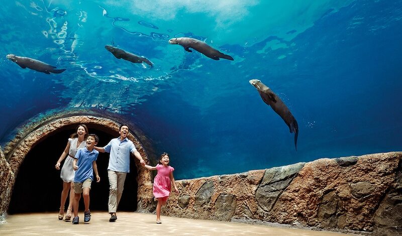 River Wonders