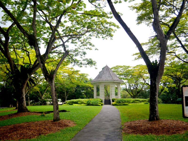 Singapore Botanic Gardens