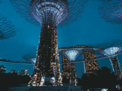 Supertree Grove, Gardens by the Bay